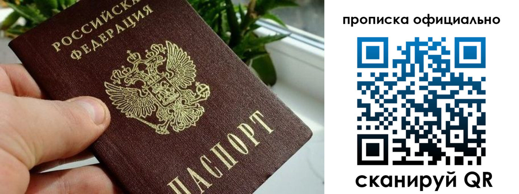 прописка поиск в Чите